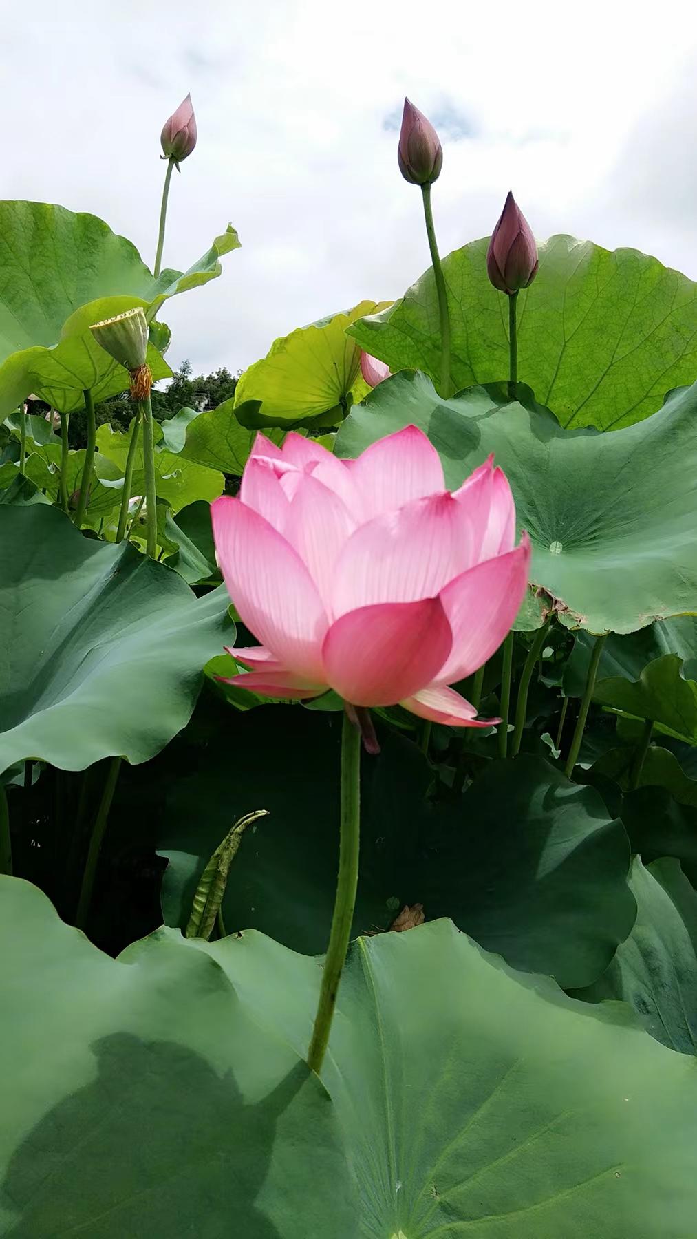 //m.shenyanglingyuge.com/hsdt/221.html